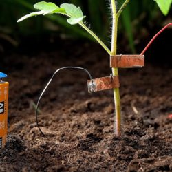 A Very Slimy Electric Fence